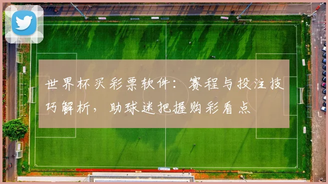 世界杯买彩票软件:赛程与投注技巧解析,助球迷把握购彩看点